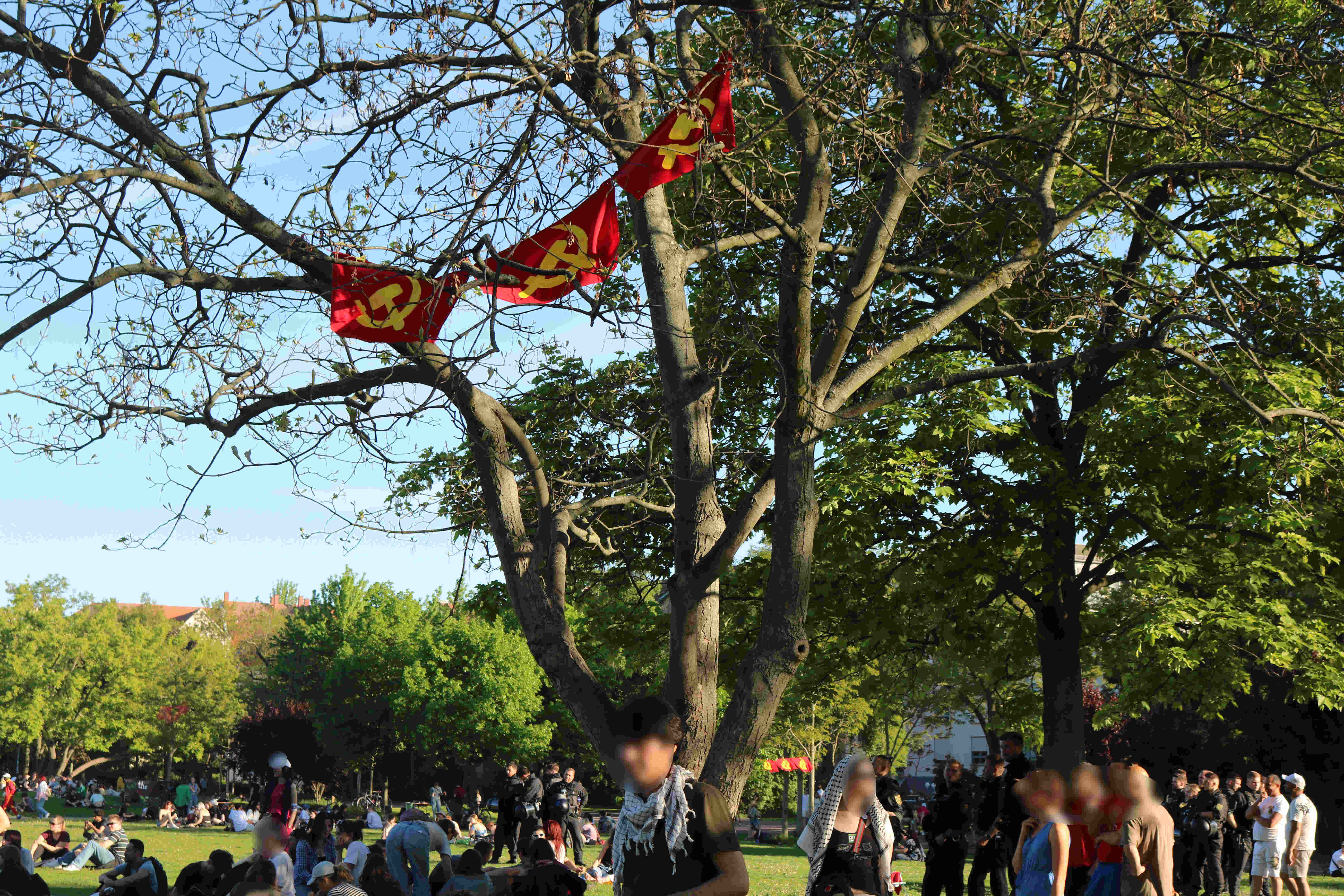 Beflaggung zum Parkfest